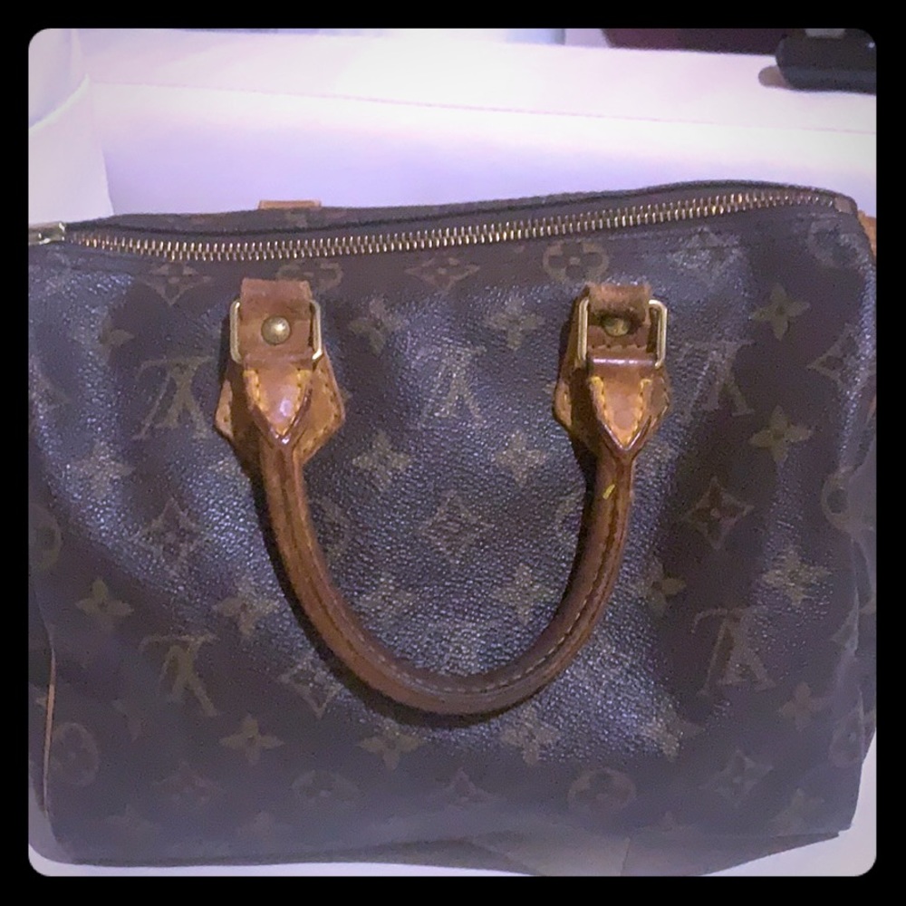 Louise Vuitton Nano Speedy